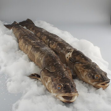 冰鮮的魚的AI圖片