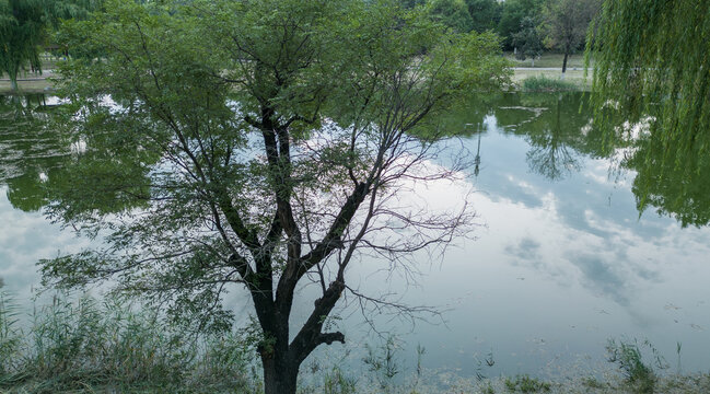 陜西西安浐灞濕地公園風景區