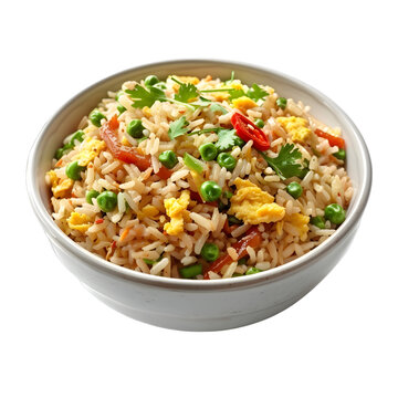 [免摳素材]炒飯