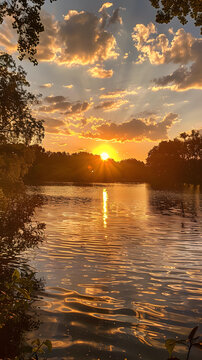 夕陽下的湖泊公園，湖面波光粼粼，岸邊綠樹成蔭