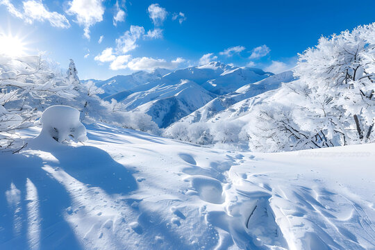 壯麗的雪山