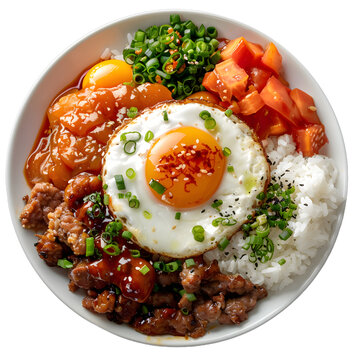 [免摳素材]美味牛肉蓋飯