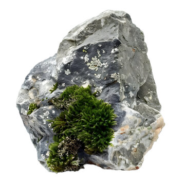 [免摳素材]灰色巖石上的綠色苔蘚
