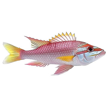[免摳素材]白色背景上的條紋魚