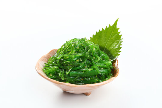 海草