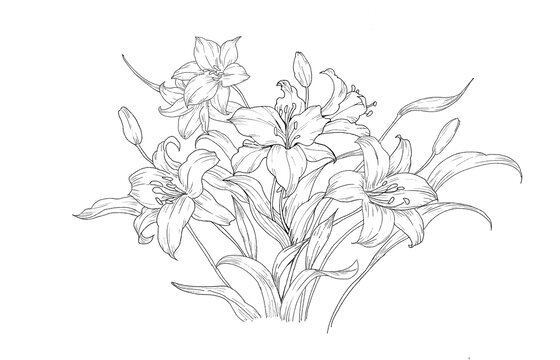 一束花