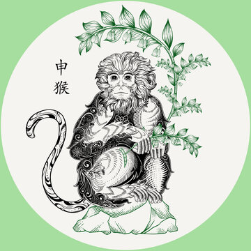 國(guó)潮十二生肖猴花草線描