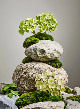 石頭與花朵和苔蘚的堆疊