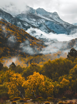 秋日山林霧景