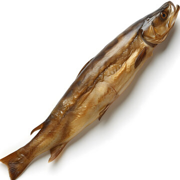 一條在白色背景上的熏魚