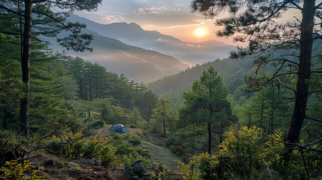 在山野中露營(yíng)