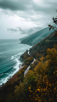 沿海公路蜿蜒穿過森林山丘
