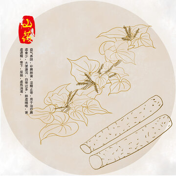 手繪山藥插畫線稿