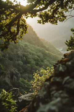 綠樹叢中遠(yuǎn)眺山脈