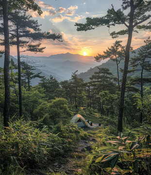 在山野中露營(yíng)