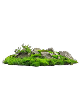 [免摳素材]白色背景上的綠色苔蘚和石頭