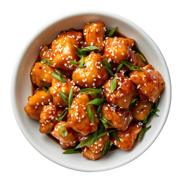 [免摳素材]照燒雞肉碗