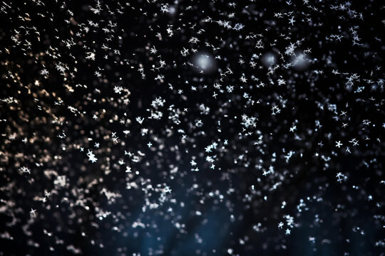 黑色背景下的雪花微觀