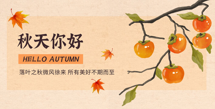 秋天柿子水彩插畫(huà)