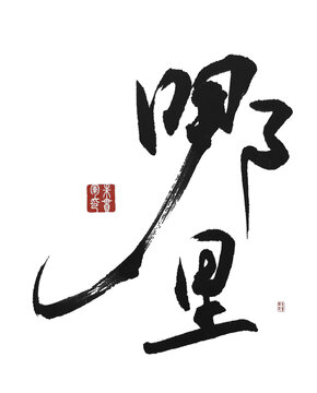 哪里
