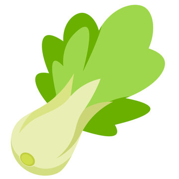 白菜