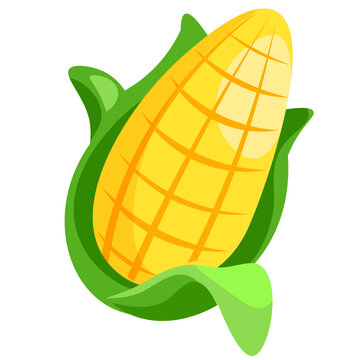 玉米