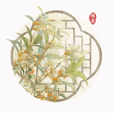 桂花插畫