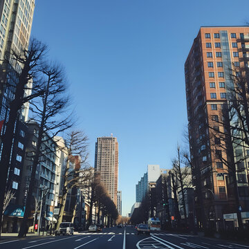 陽光明媚的城市街景，高樓林立，樹木光禿