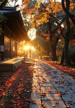 秋日黃昏的寺廟小路