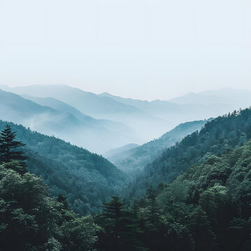 薄霧籠罩的山脈景觀