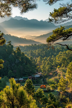 迷霧山間露營