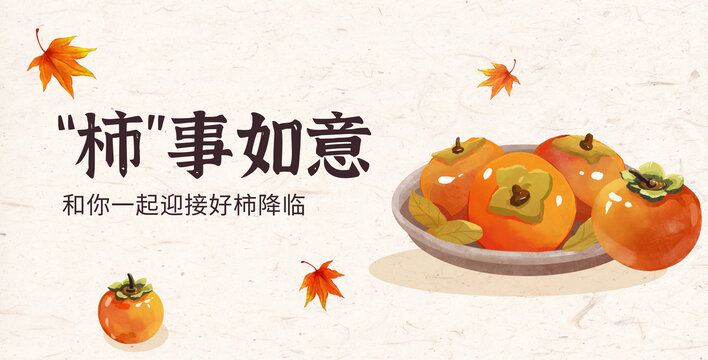 秋天柿子節(jié)氣霜降秋分水彩插畫