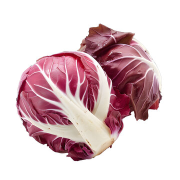 [免摳素材]新鮮紅菊苣白色背景隔離