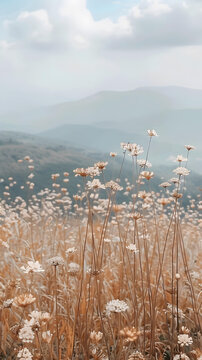 山坡野花田風(fēng)景