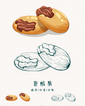 碧根果插畫版畫