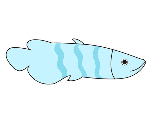 卡通彩色魚矢量插畫