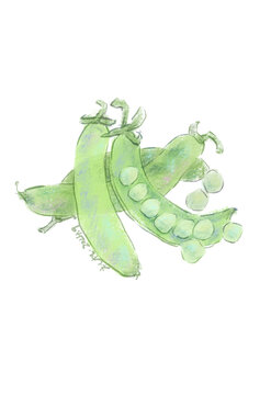 豌豆
