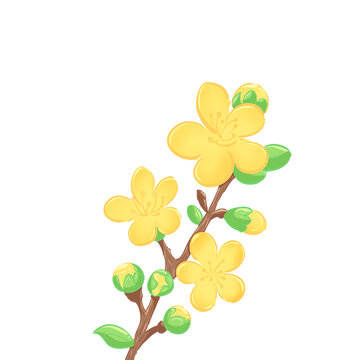 金絲梅花朵插畫