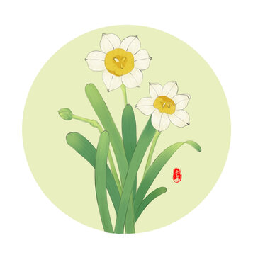 水仙花