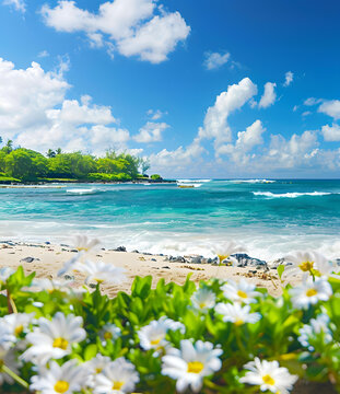 美麗的海灘風(fēng)景，白色花朵