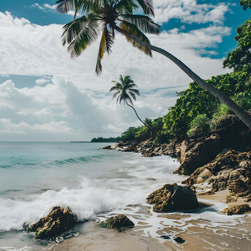 熱帶海灘上的棕櫚樹和海浪