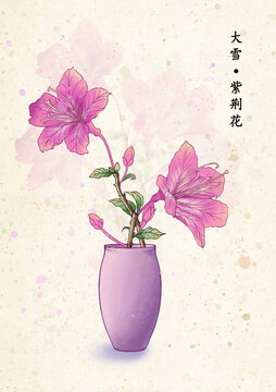 二十四節(jié)氣大雪紫荊花