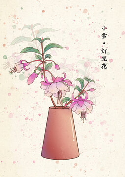 二十四節(jié)氣小雪燈籠花
