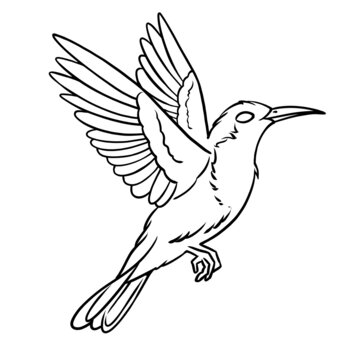 飛鳥
