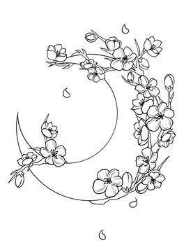 梅花