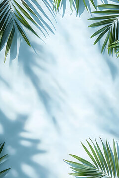 熱帶棕櫚葉陰影背景