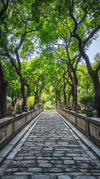 樹蔭下通往山頂?shù)氖迓? style=