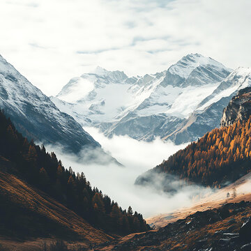 云海中的雪山