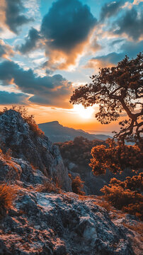 山巒夕照，樹影婆娑