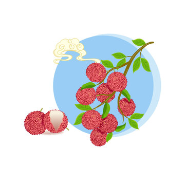 荔枝矢量插畫